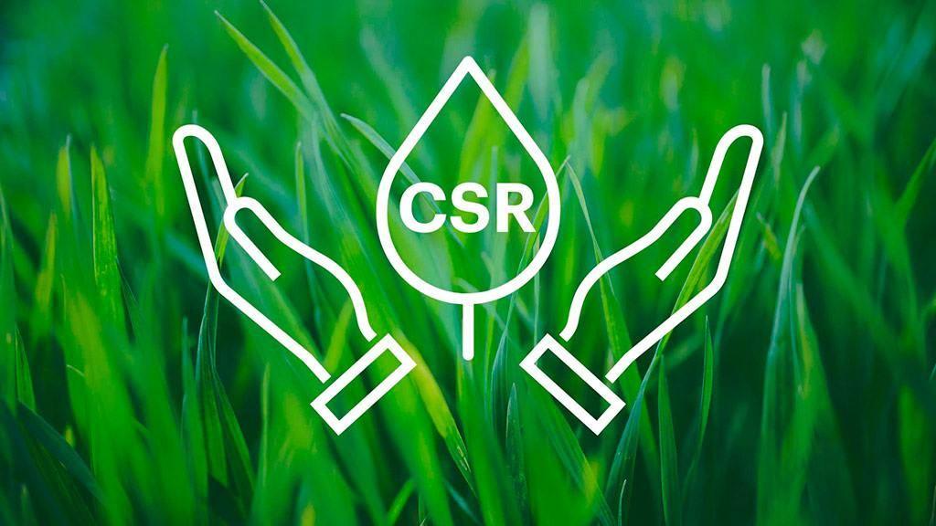 CSR Strategies for Sustainable Development with  Furycombo  